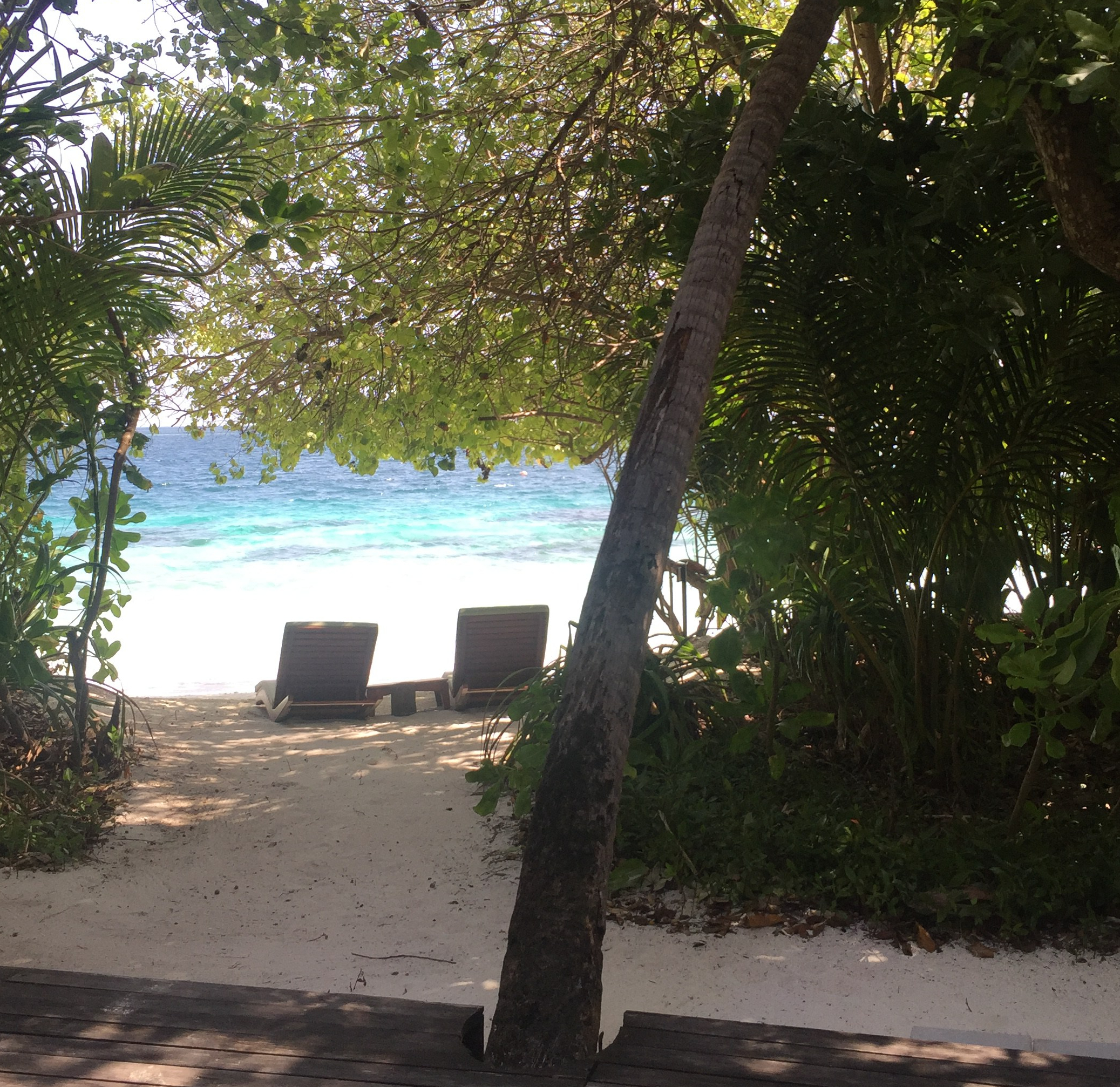 Rachel recommends: Maldives review